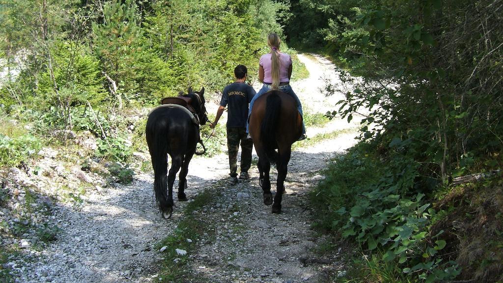 Agriturismo Prati Oitzinger Valbruna Bagian luar foto